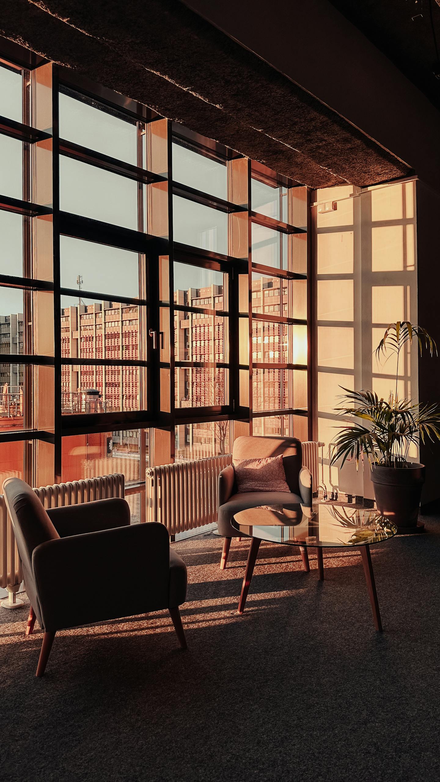 Sunlit modern office lounge with a city view, featuring elegant furniture and large windows in Berlin.